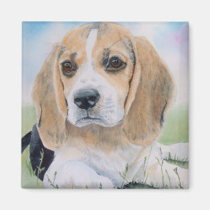 Buffy der Beagle Magnet