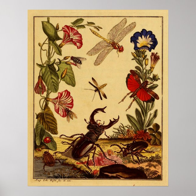 Bug 1764 poster (Vorne)