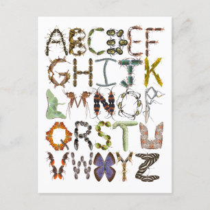 Bug Alphabet Kids Insect Thema ABC Postkarte