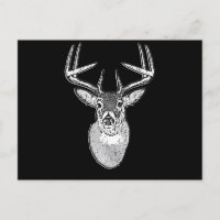 Bug auf Schwarz-weißen Schwanz Hirsch Kopf