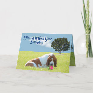 Bug & Basset auf Funny & Niedliche Geburtstag Card Karte
