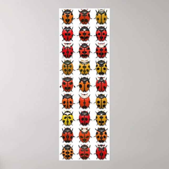 Bug, Bug, Bug - Fehlermuster Poster (Vorne)