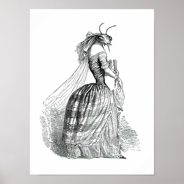 Bug Bustle Poster (Vorne)