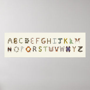 Bug Decor Insect oder Bug Alphabet Educational Poster