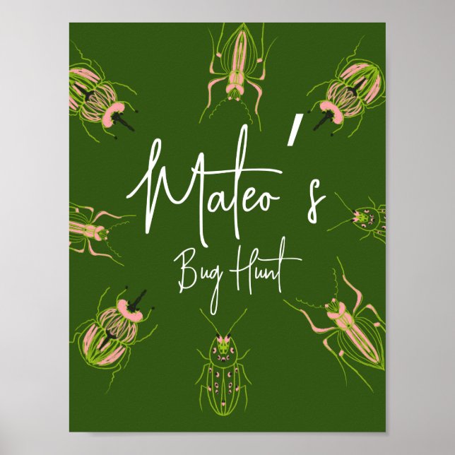 Bug Hunt Insect Birthday Hand Drawn Party Poster (Vorne)