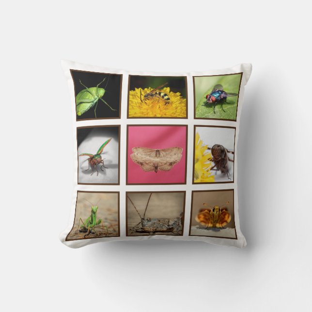 Bug Lovers Delight Insekt Fotografy Throw Kissen (Vorderseite)