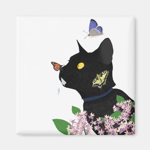 Bug Magnet