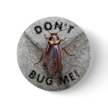 Bug mich nicht mit Kakerlaken