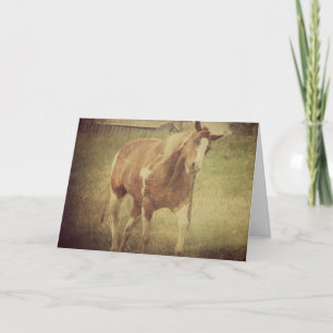 Bug mich nicht, paint Horse Shakes Head Karte