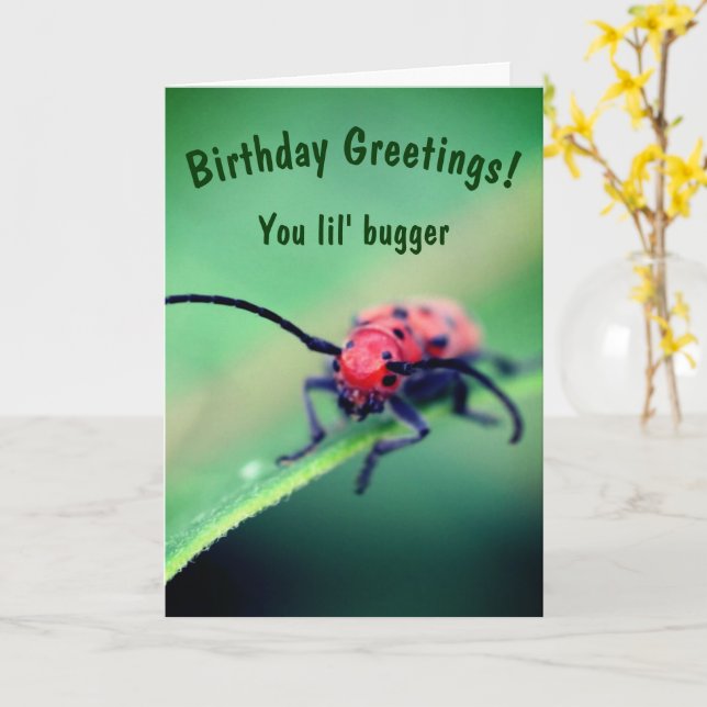 Bug mit Attitude-Niedliche Geburtstag Karte (Gelbe Blume)