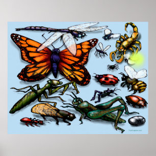 Bug Poster