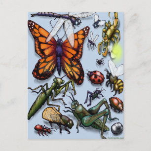 Bug Postkarte