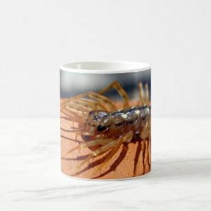 Bug-Tasse Tasse