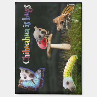 Buggs Magnet