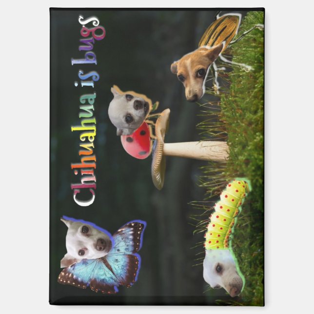 Buggs Magnet (Vorderseite)