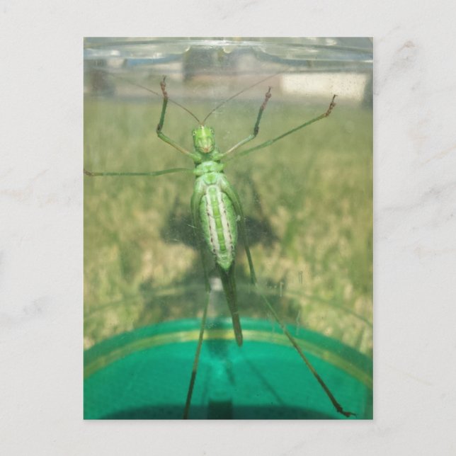 Buggy 1 - Erziehungsbrainfart Postkarte (Vorderseite)