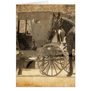 Buggy vor dem Pferd, Amish bringen Zuhause neues P