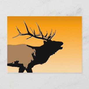 Bugling Bull Elch bei Sunset Original Wildlife Art Postkarte