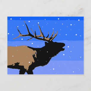 Bugling Elk im Winter - Original Wildlife Art Postkarte