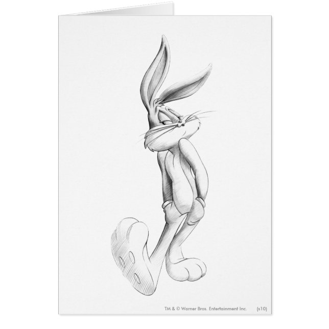 BUGS BUNNY™ Zeichnend 2 (Vorne)