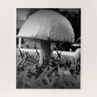 Bug's Eye View Puzzle