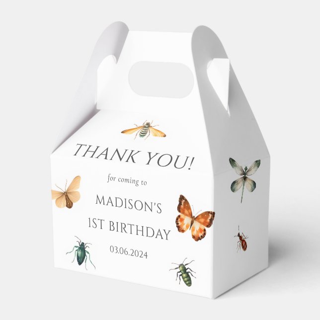 Bugs & Insekten Vintager Junge Geburtstagsparty Geschenkschachtel (Vorderseite)