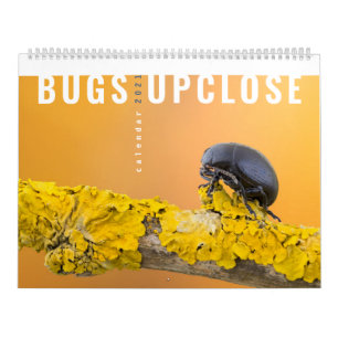 BUGS UPCLOSE 2021 KALENDER