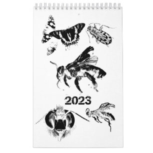 Bugs World - Insekten - Kalender 2023