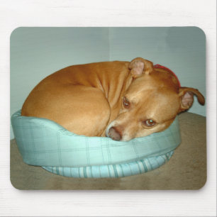 Bugsy Mousepad