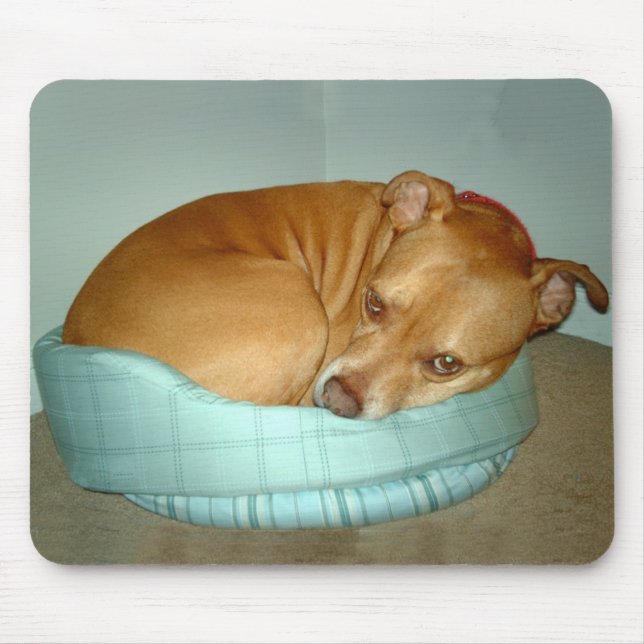 Bugsy Mousepad (Vorne)