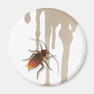Bugzeez_Icky klebrige Hinterwellen, die Magnet