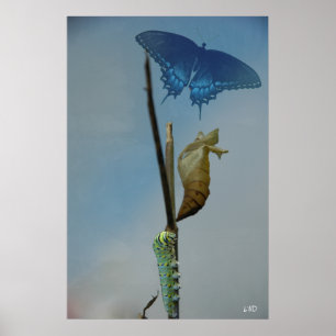 Bühne-Plakat-Druck Poster