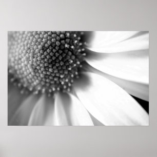 Bühnen des Lebens Poster