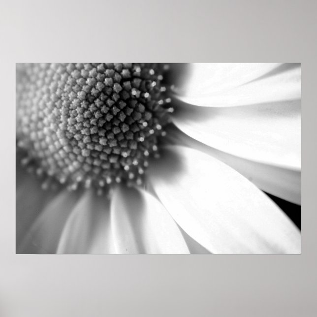 Bühnen des Lebens Poster (Vorne)