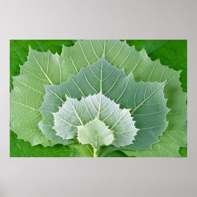 BÜHNEN DES LEBENS POSTER (Vorne)