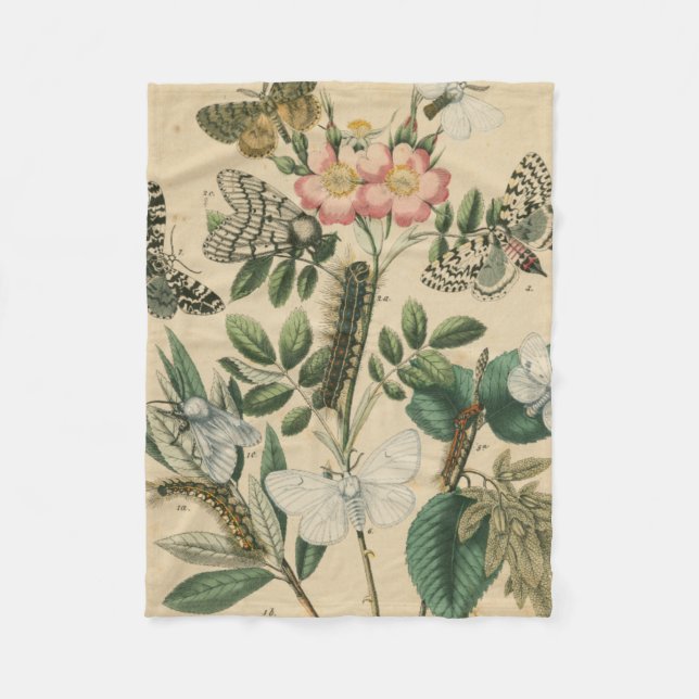 Bühnen des Schmetterlings-Lebens durch Fleecedecke (Vorderseite)