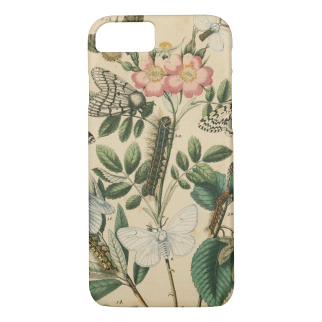 Bühnen des Schmetterlingslebens von Vision Studio Case-Mate iPhone Hülle (Rückseite)