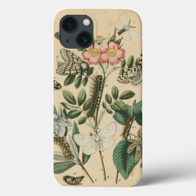 Bühnen des Schmetterlingslebens von Vision Studio Case-Mate iPhone Hülle (Rückseite)