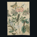 Bühnen des Schmetterlingslebens von Vision Studio Handtuch<br><div class="desc">Alle Bühnen des Schmetterlingslebens sind in diesem Werk von Vision Studio dargestellt. Es werden Raupen,  frisch geschlüpfte Schmetterlinge und sogar ein Larvenkor gezeigt. Wenn Sie die Natur im Allgemeinen oder Schmetterlinge im Besonderen Liebe,  ist dies der Ausdruck für Sie!</div>