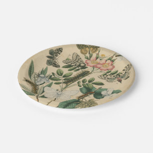 Bühnen des Schmetterlingslebens von Vision Studio Pappteller