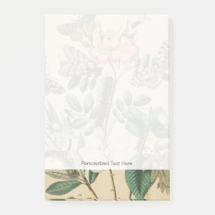 Bühnen des Schmetterlingslebens von Vision Studio Post-it Klebezettel