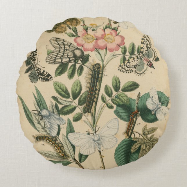 Bühnen des Schmetterlingslebens von Vision Studio Rundes Kissen (Vorderseite)