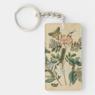 Bühnen des Schmetterlingslebens von Vision Studio Schlüsselanhänger