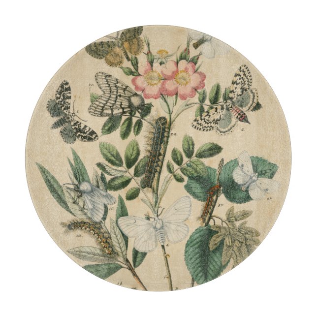 Bühnen des Schmetterlingslebens von Vision Studio Schneidebrett (Vorderseite)