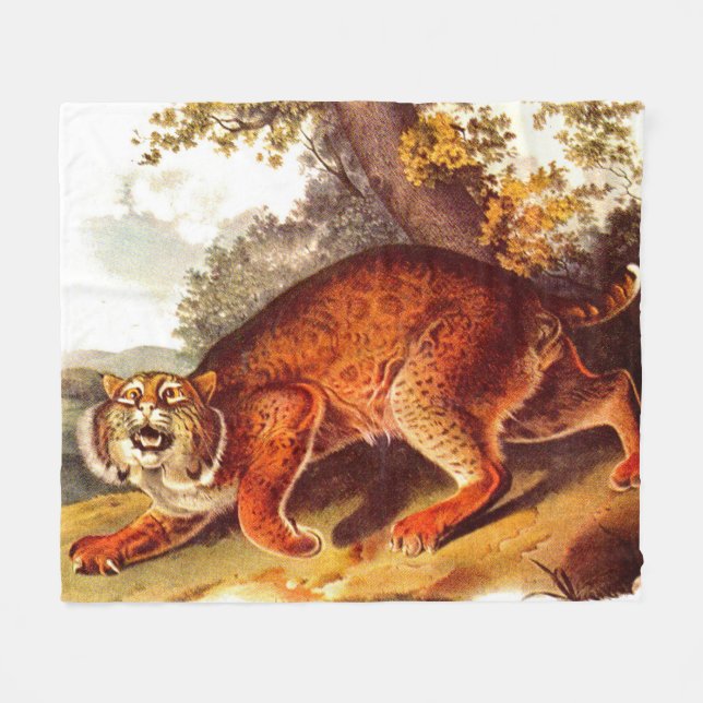 Bühnendruck des 19. Jahrhunderts Fleecedecke (Vorderseite (Horizontal))