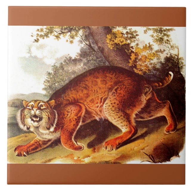 Bühnendruck des 19. Jahrhunderts Fliese (Vorderseite)