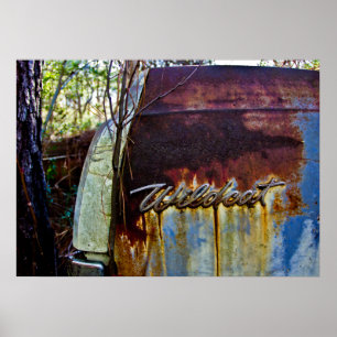 Buick Wildcat Poster