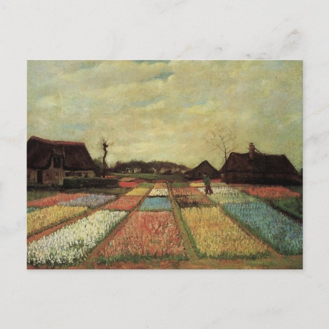 Bulb Fields von Vincent van Gogh. Postkarte (Vorderseite)