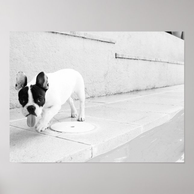 Buldozunge Poster (Vorne)