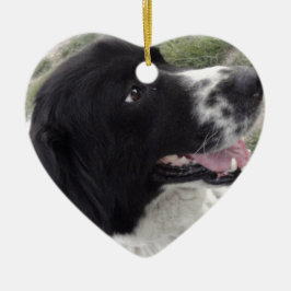 Bulgarischer Schäfer-Hund Sara Keramikornament